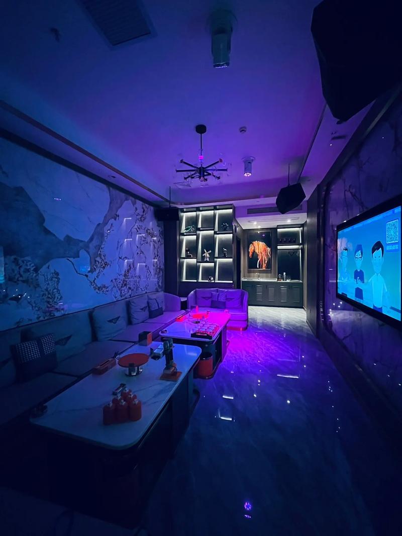 株洲商务ktv优质商务ktv预订方案-攸县ktv预订